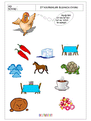 aynı kavramı bul çalışmaları